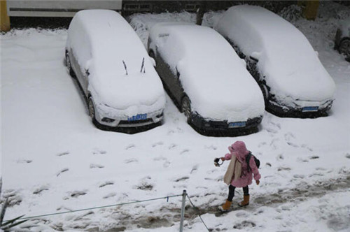 郑州突降大雪考察榨油机设备的客户路上小心(图1)