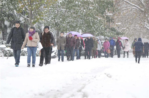 郑州突降大雪考察榨油机设备的客户路上小心(图2)