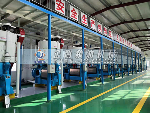 全自动榨油机生产线在食品行业的应用与前景