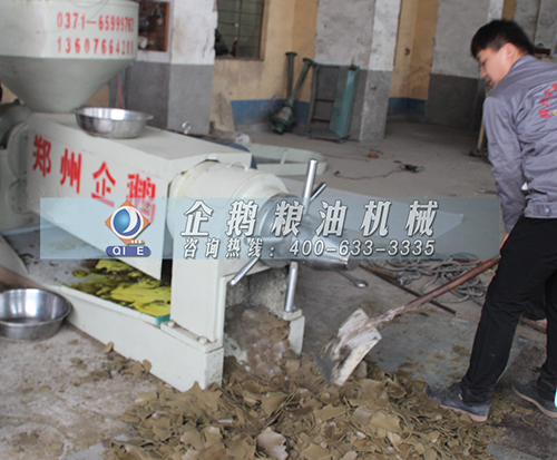 菜籽榨油机工作过程(图1) 菜籽榨油机工作过程(图1)